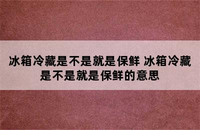 冰箱冷藏是不是就是保鲜 冰箱冷藏是不是就是保鲜的意思